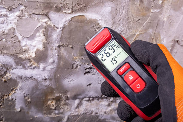 Best Bathroom Mold Remediation in Aurora, IN